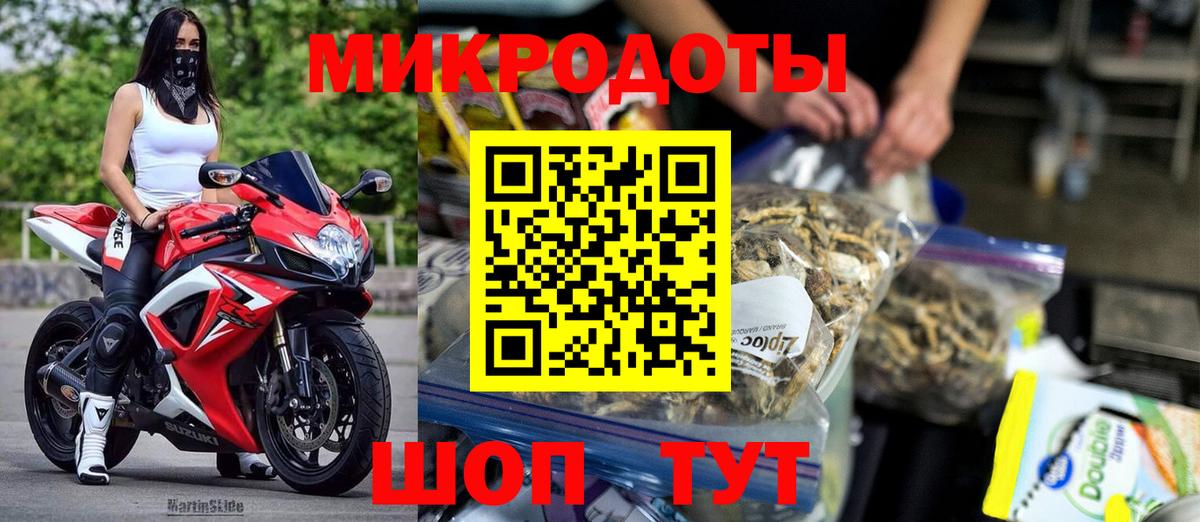 Галлюциногенные грибы Psilocybe Карабулак