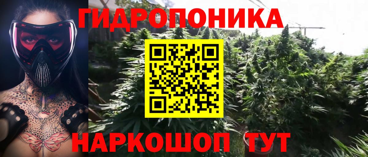 Канабис White Widow  Канабис марихуана  Конопля сатива  Вход с VPN  Карабулак 
